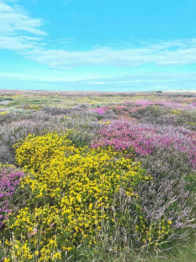Sea View Fields Trearddur